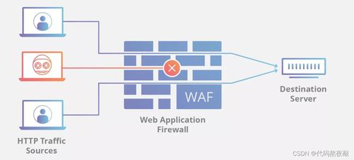 搞安全開(kāi)發(fā)都是用什么編程語(yǔ)言